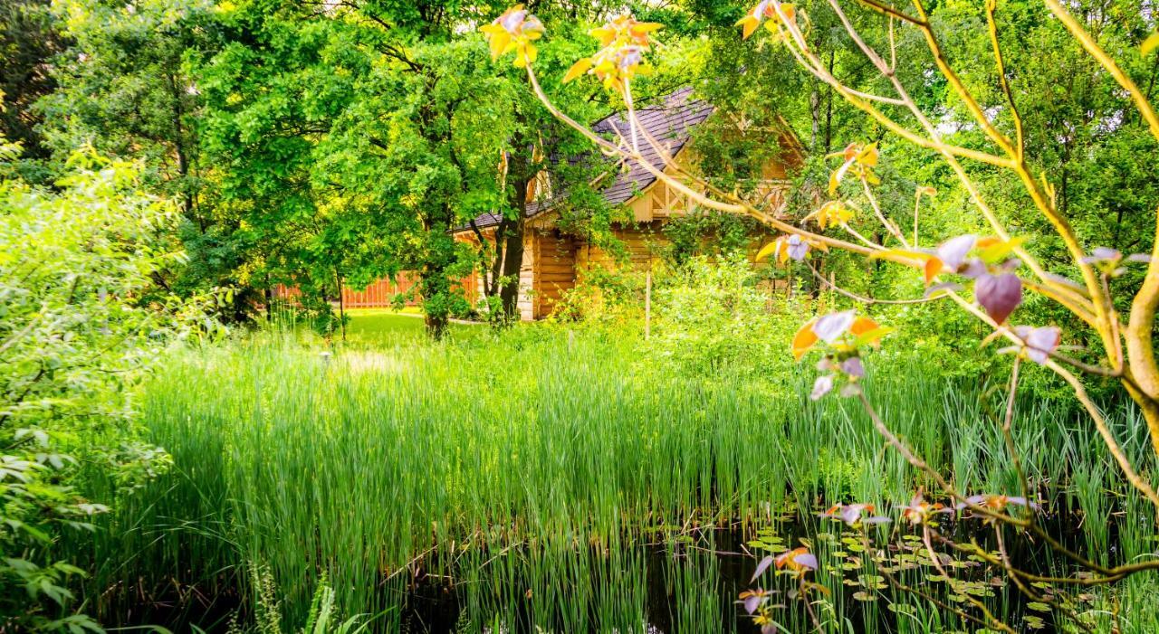 Sucholand Villa Miedziana Góra Exteriör bild